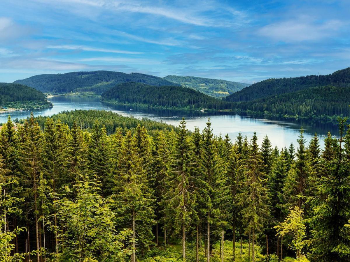 Black Forest Luxury Apartment Waldglueck Mit Sauna Königsfeld im Schwarzwald Exterior foto